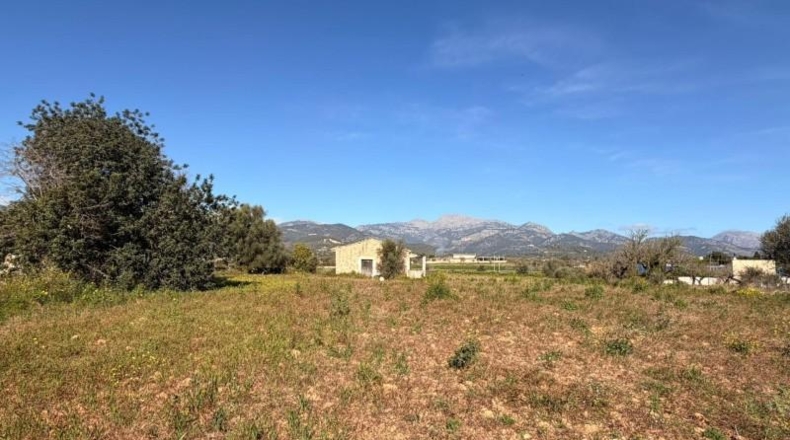 Islas Baleares - Lloseta - 39m2