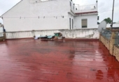 Village house for sale on España, Umbrete, ref: TR402554 photo