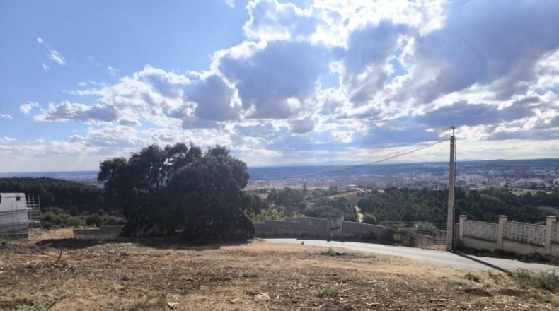 Leon - Valdefresno - 1187m2