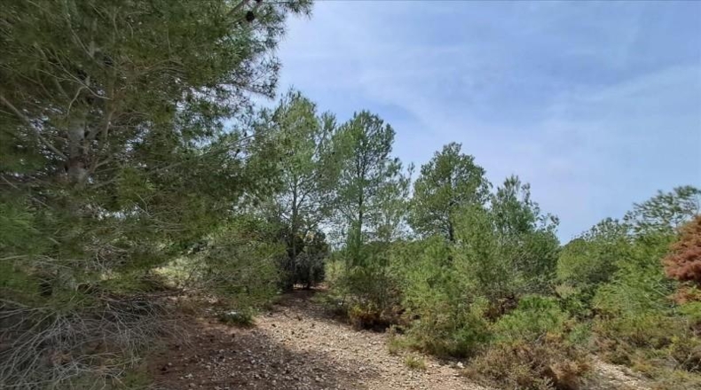 Valencia - Bétera - 1544m2