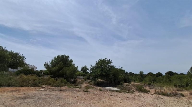 Valencia - Bétera - 1544m2