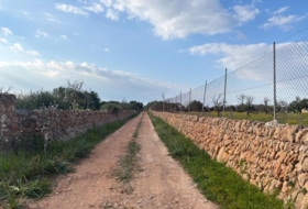 Llucmajor 15000&nbsp;m²