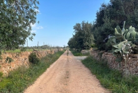 Llucmajor 15000&nbsp;m²