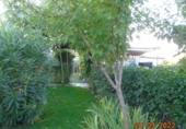 Country house with land for sale on España, El Molar, ref: TR255250 photo
