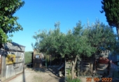 Country house with land for sale on España, El Molar, ref: TR255250 photo