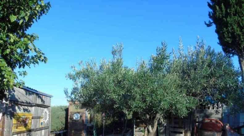 Comunidad de Madrid - El Molar - 2000m2