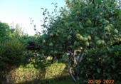 Country house with land for sale on España, El Molar, ref: TR255250 photo