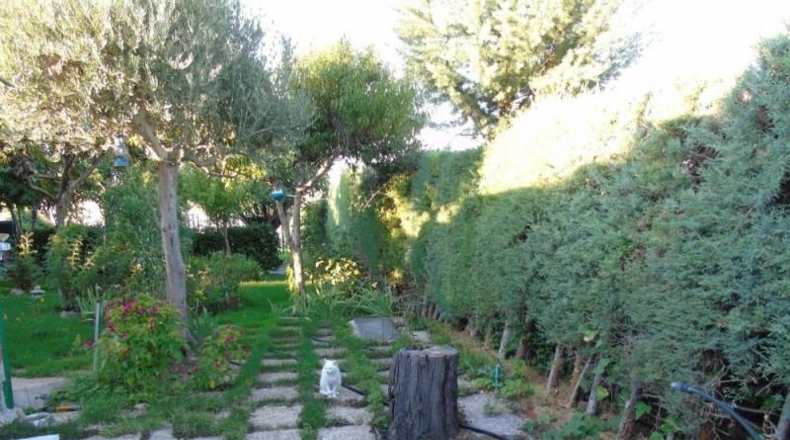 Comunidad de Madrid - El Molar - 2000m2