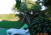 Country house with land for sale on España, El Molar, ref: TR255250 photo