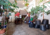 Casa de pueblo en venta en la España, Icod de los Vinos, ref: TR296618 foto