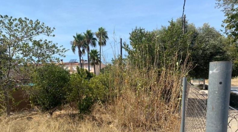 Balearic Islands - Palma - 183m2
