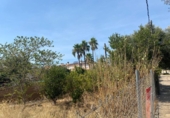 Suelo urbano en venta en la España, Palma, ref: TR228255 foto