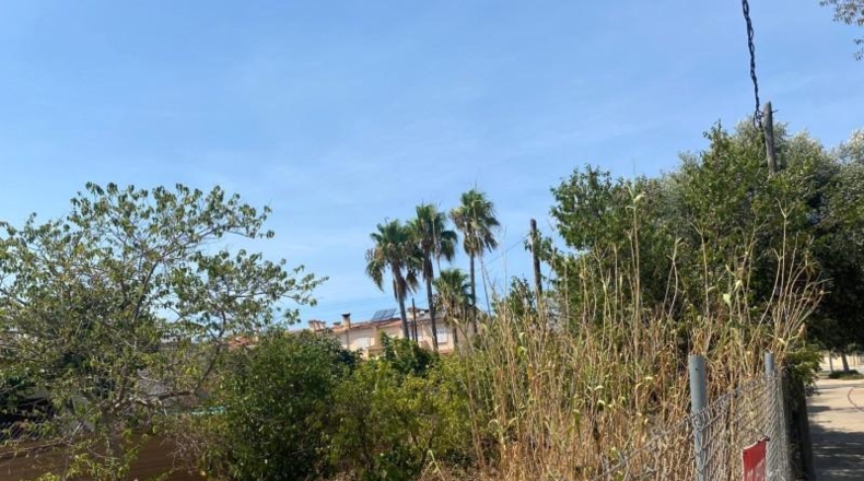Balearic Islands - Palma - 183m2
