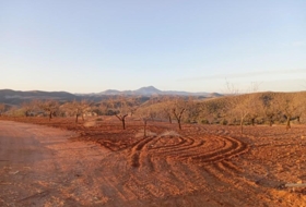Foto 9