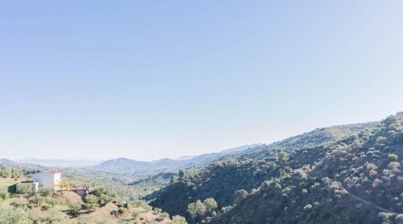 Malaga - Tolox - 498m2