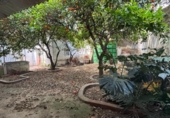 Casa de pueblo en venta en la España, Pilas, ref: TR294088 foto