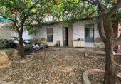 Casa de pueblo en venta en la España, Pilas, ref: TR294088 foto