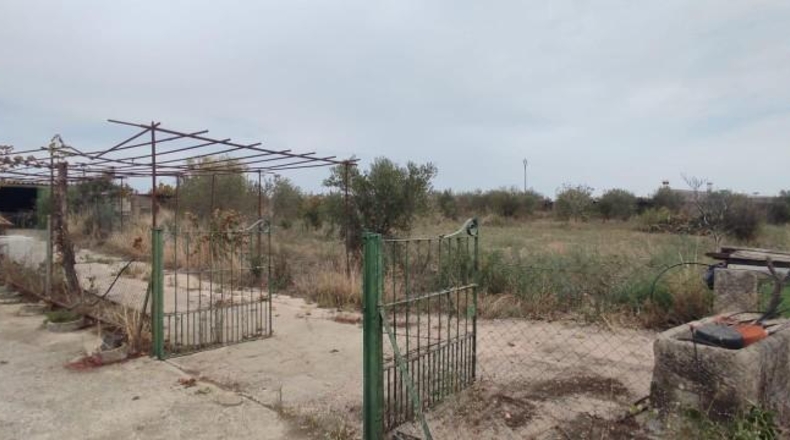 Guadalajara - Torremocha del Pinar - 1500m2