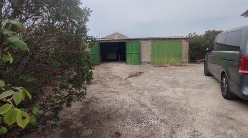 Guadalajara - Torremocha del Pinar - 1500m2
