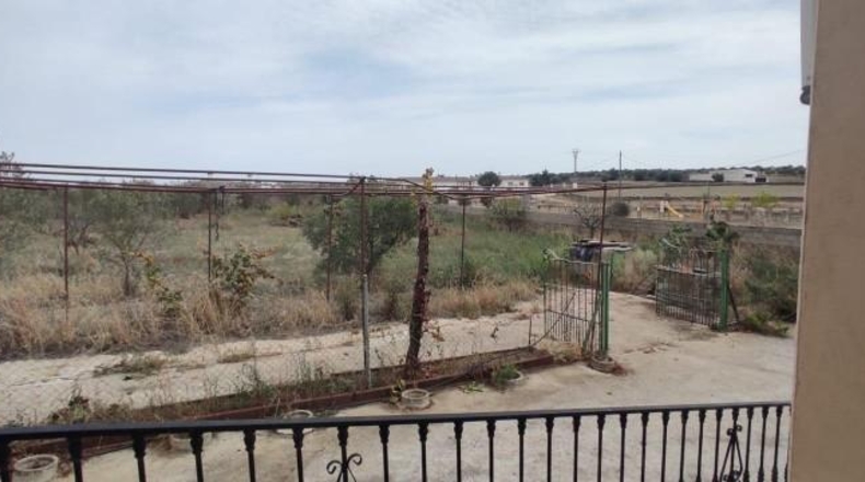 Guadalajara - Torremocha del Pinar - 1500m2