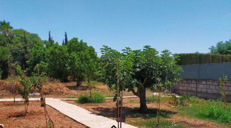 Córdoba - Belmez - 3000m2