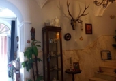 Detached villa with land for sale on España, Calamonte, ref: TR242127 photo
