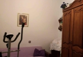 Detached villa with land for sale on España, Calamonte, ref: TR242127 photo