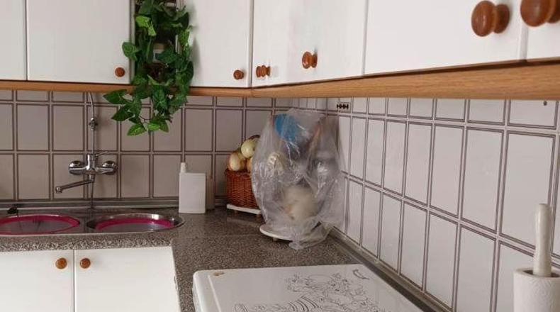 Badajoz - Calamonte - 592m2