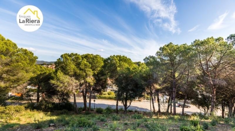 Barcelona - Arenys de Mar - 1189m2