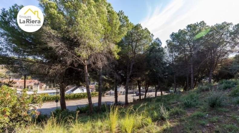 Barcelona - Arenys de Mar - 1189m2