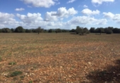 Terreno no urbanizable en venta en la España, Felanitx, ref: TR117347 foto