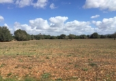 Terreno no urbanizable en venta en la España, Felanitx, ref: TR117347 foto