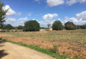 Terreno no urbanizable en venta en la España, Felanitx, ref: TR117347 foto