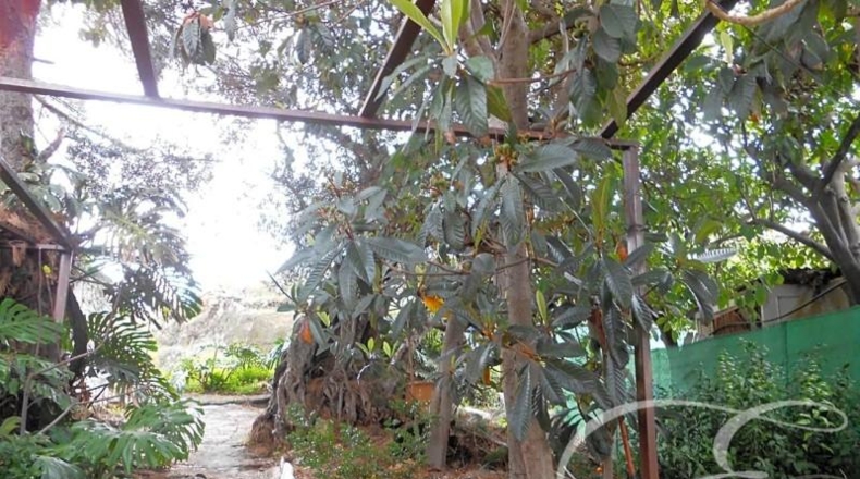Málaga - Canillas de Aceituno - 270m2
