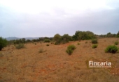 Terreno no urbanizable en venta en la España, Manacor, ref: TR112977 foto