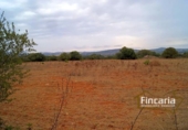 Terreno no urbanizable en venta en la España, Manacor, ref: TR112977 foto