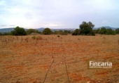 Terreno no urbanizable en venta en la España, Manacor, ref: TR112977 foto