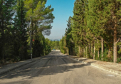 Suelo urbano en venta en la España, Alcúdia, ref: TR113153 foto