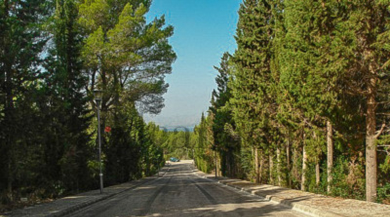 Balearic Islands - Alcudia - 1000m2