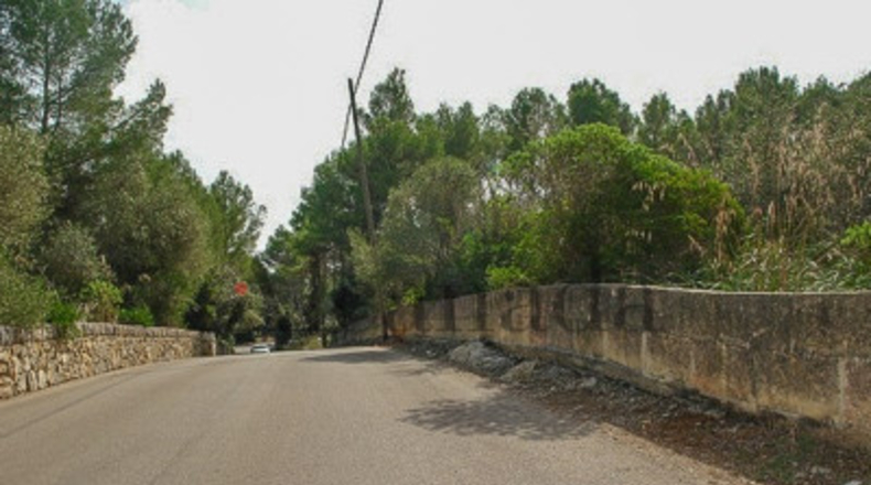 Balearic Islands - Alcudia - 1000m2