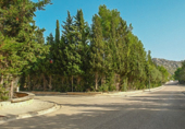 Suelo urbano en venta en la España, Alcúdia, ref: TR113153 foto