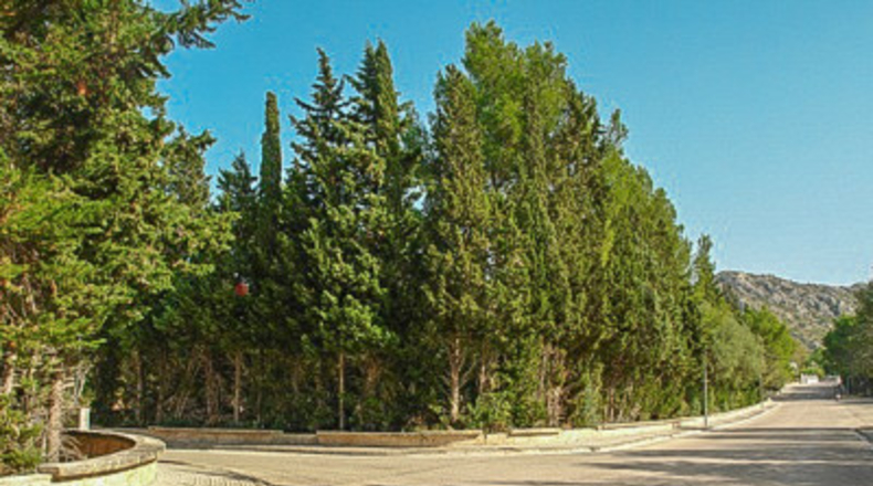 Balearic Islands - Alcudia - 1000m2