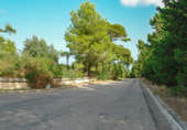 Suelo urbano en venta en la España, Alcúdia, ref: TR113153 foto
