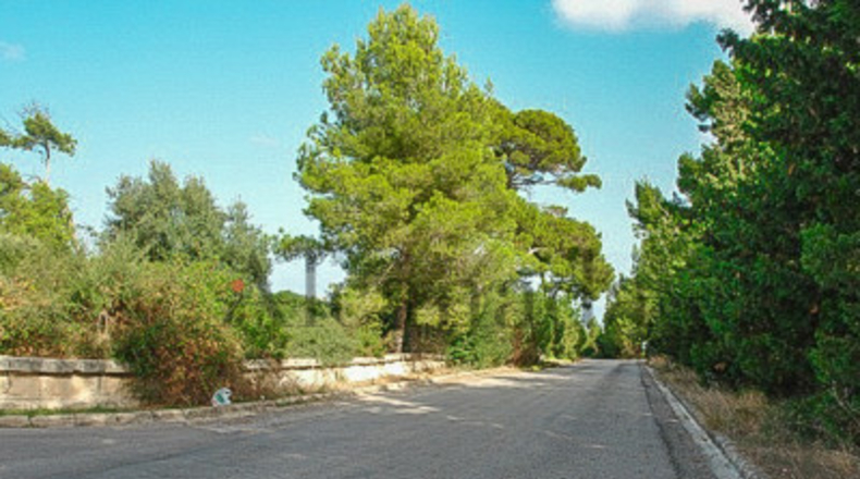 Balearic Islands - Alcudia - 1000m2