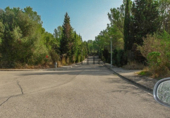 Suelo urbano en venta en la España, Alcúdia, ref: TR113153 foto