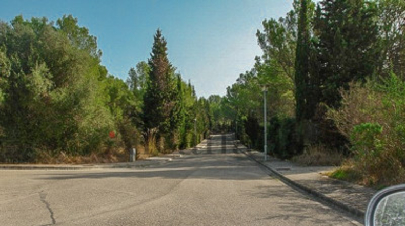 Balearic Islands - Alcudia - 1000m2
