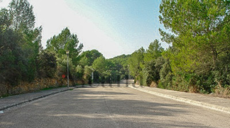 Balearic Islands - Alcudia - 1000m2