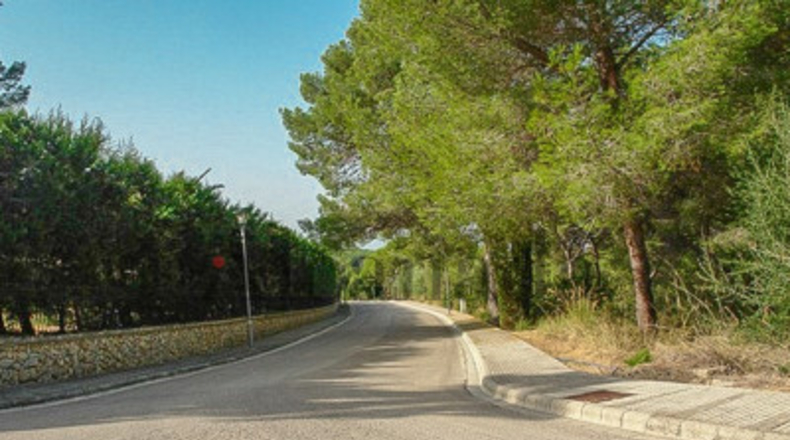 Balearic Islands - Alcudia - 1000m2