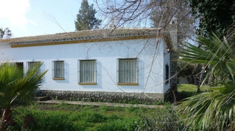 Sevilla - Marchena - 1918m2
