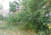 Suelo urbano en venta en la España, Elda, ref: TR114875 foto